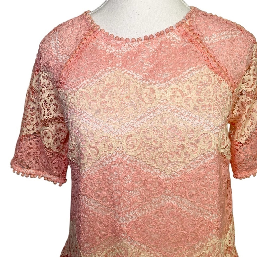 Everly Pink and Cream Lace Mini Dress NWT - Picture 4 of 14